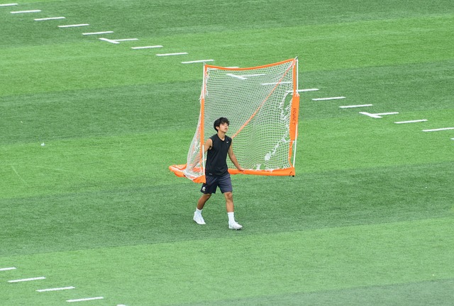 的版图中