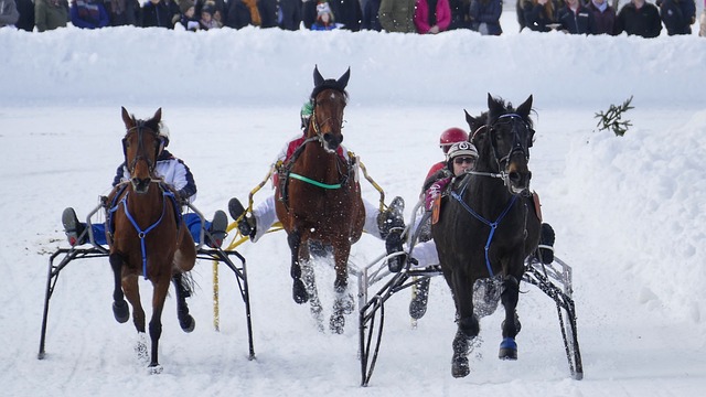 这一惯性思 这一惯性思